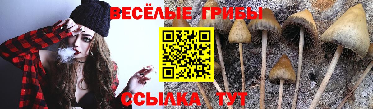 Галлюциногенные грибы GOLDEN TEACHER Кинель