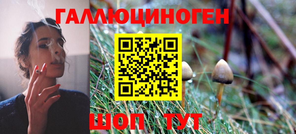 Кинель  Галлюциногенные грибы Psilocybe  Вход с VPN  Псилоцибиновые грибы Magic Shrooms 